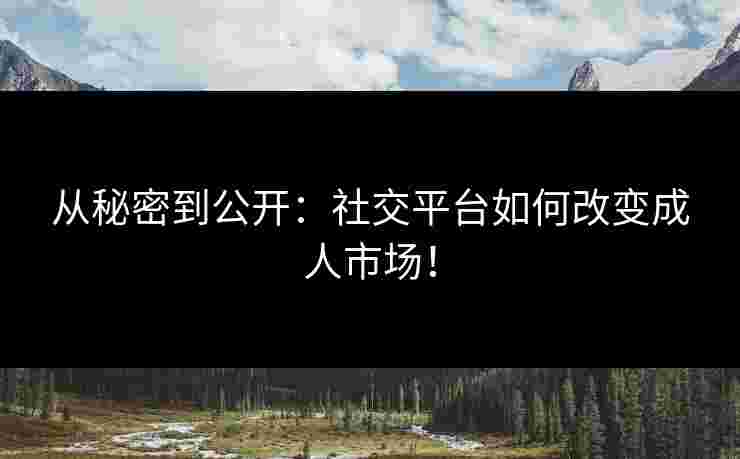 从秘密到公开：社交平台如何改变成人市场！