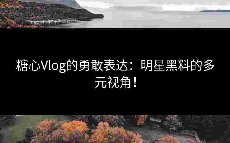 糖心Vlog的勇敢表达：明星黑料的多元视角！